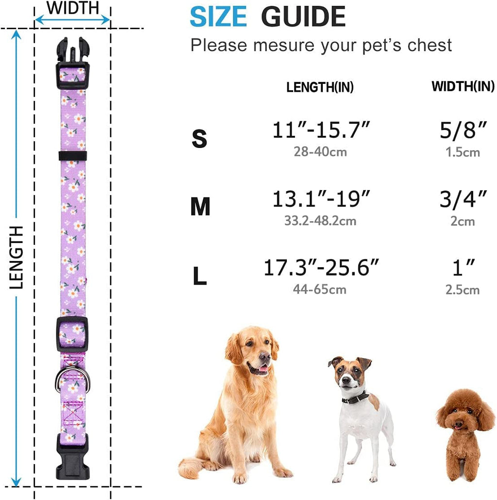 Daisy Girl Dog Collars, Floarl Design for Small Dogs,