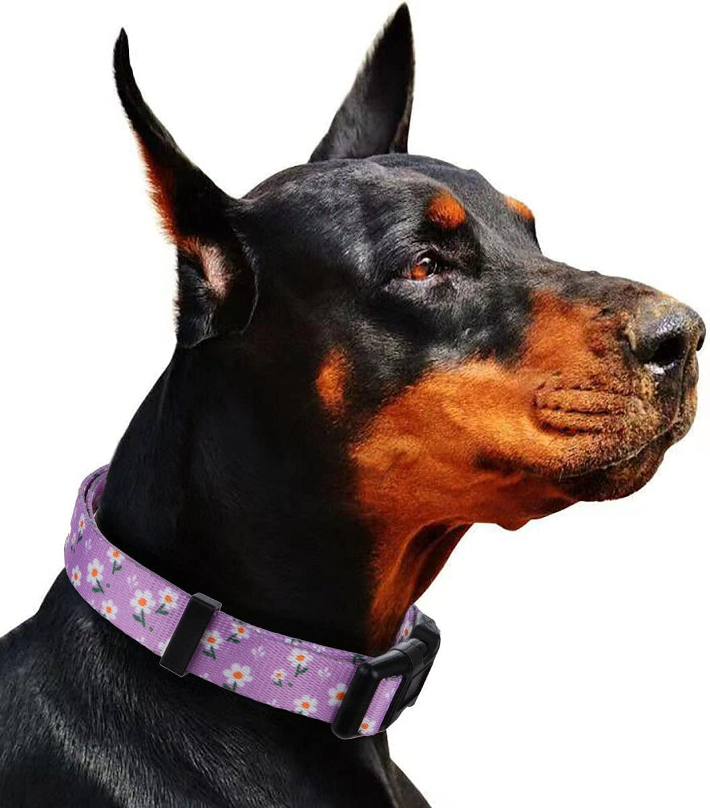 Daisy Girl Dog Collars, Floarl Design for Small Dogs,