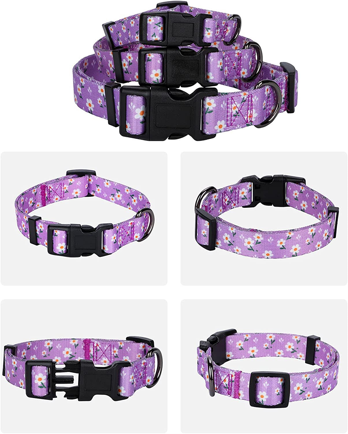Daisy Girl Dog Collars, Floarl Design for Small Dogs,