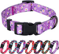Daisy Girl Dog Collars, Floarl Design for Small Dogs,