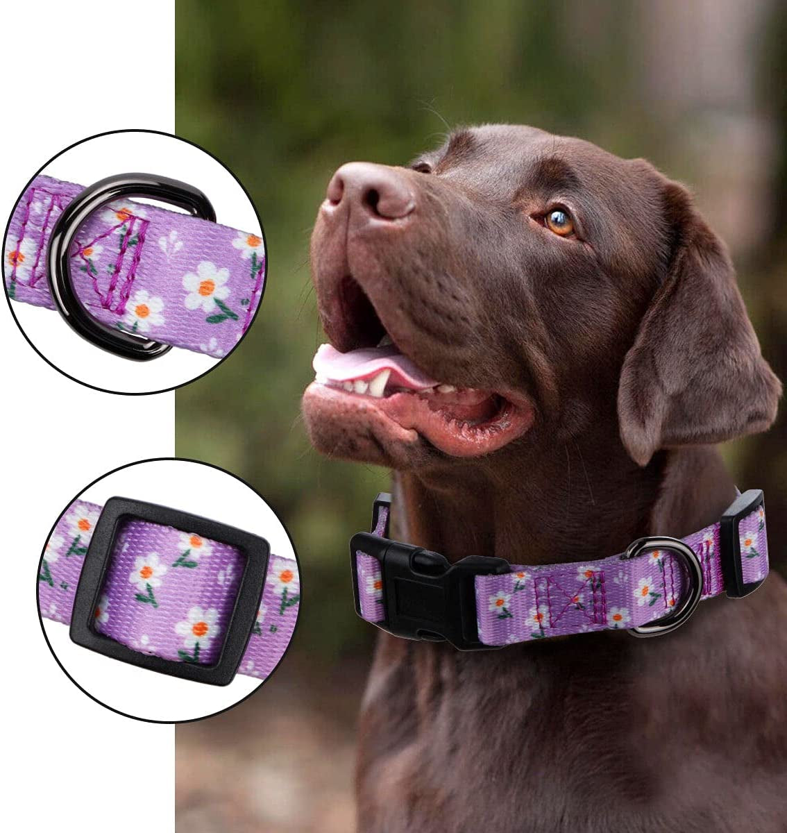 Daisy Girl Dog Collars, Floarl Design for Small Dogs,