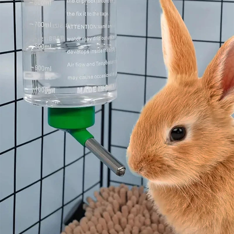 1 PC 1000Ml Random Color Small Animals Drinker Auto Drinking Hangable Water Bottle for Rabbit Guinea Pig Parrot Rabbit Feeder