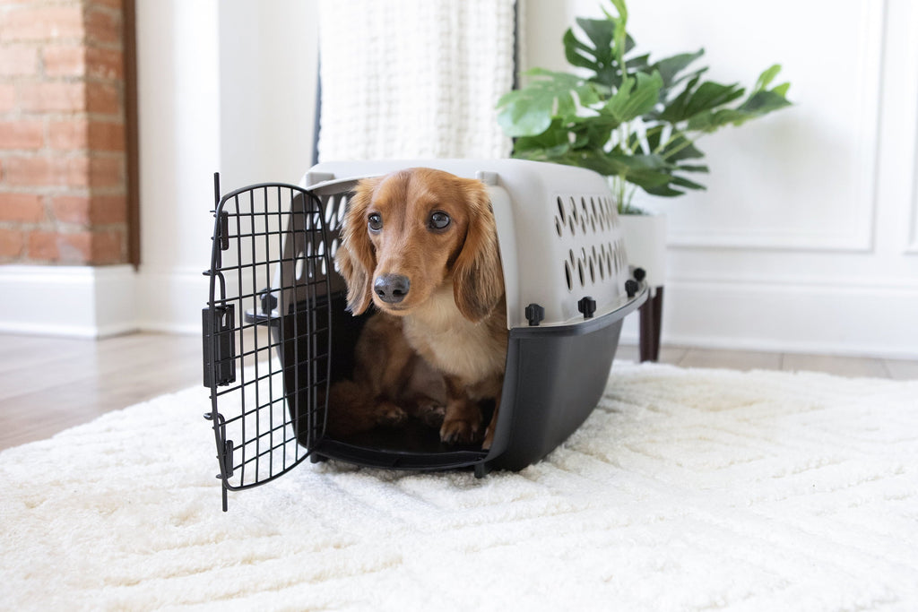 Pet Portable Kennel for Dogs, Hard-Sided Travel Carrier, Durable, Metal Door, Black & Grey, for Pets up to 15 Lbs, 23" L X 15.2" W X 11.8" H